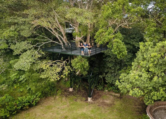 Family Surrounded By Nature - Patio & Pool