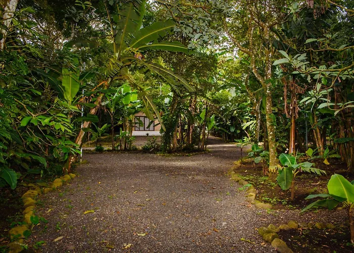 Family Surrounded By Nature - Patio & Pool