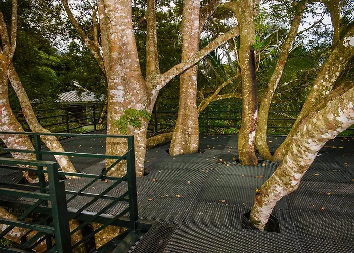 Family Surrounded By Nature - Patio & Pool Apartment Sagrada Familia
